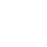 White icon of lock